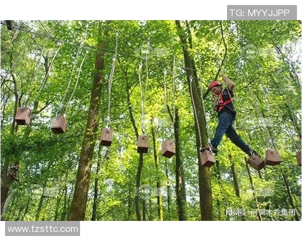 南京极限运动队心理素质深度对比分析与提升策略探讨