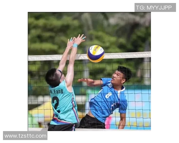 深圳排球队逆袭之路的真实故事与奋斗精神全记录